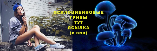 тгк Каменск-Шахтинский
