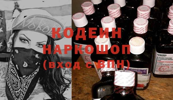 хмурый Каменногорск