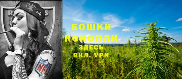 хмурый Каменногорск