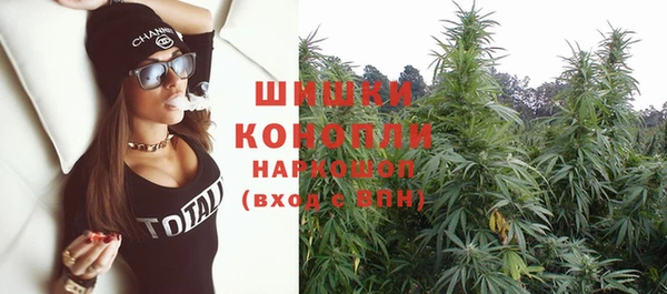 хмурый Каменногорск