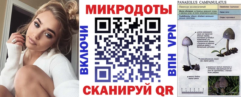 Купить  Междуреченск  Псилоцибиновые грибы GOLDEN TEACHER 